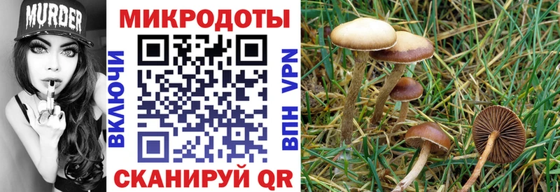 наркошоп  Тосно  Галлюциногенные грибы мухоморы 